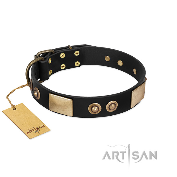 Easy adjustable genuine leather dog collar for basic training your doggie