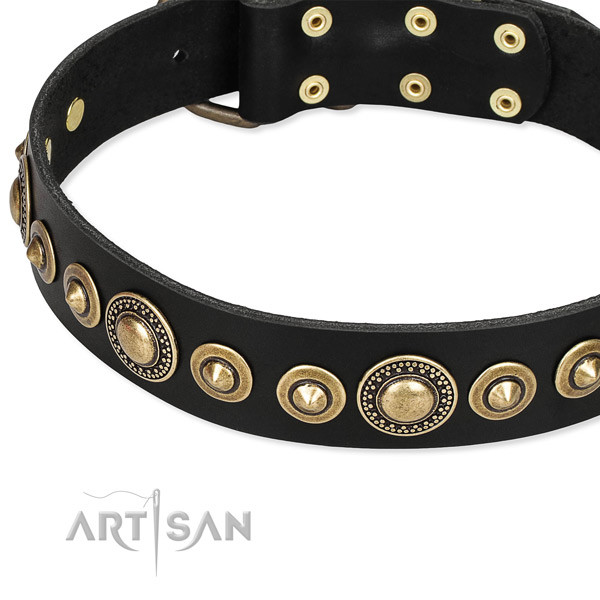 Best quality full grain natural leather dog collar handmade for your handsome canine