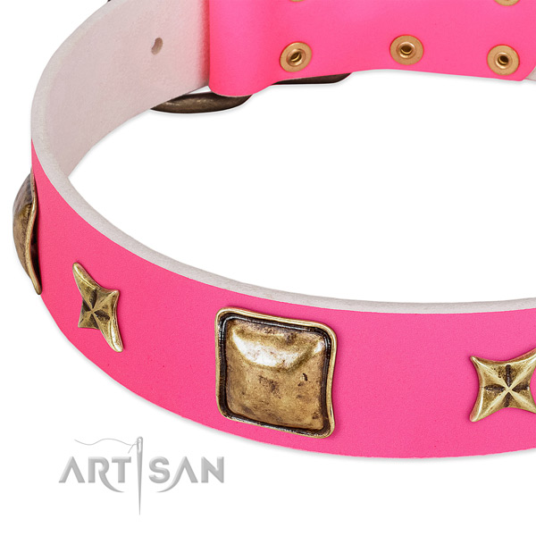 Natural leather dog collar with unusual adornments