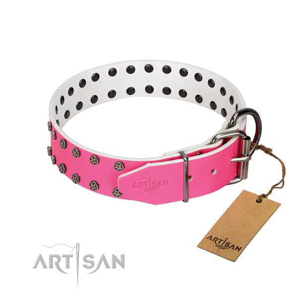 Quality full grain natural leather dog collar with studs for your canine