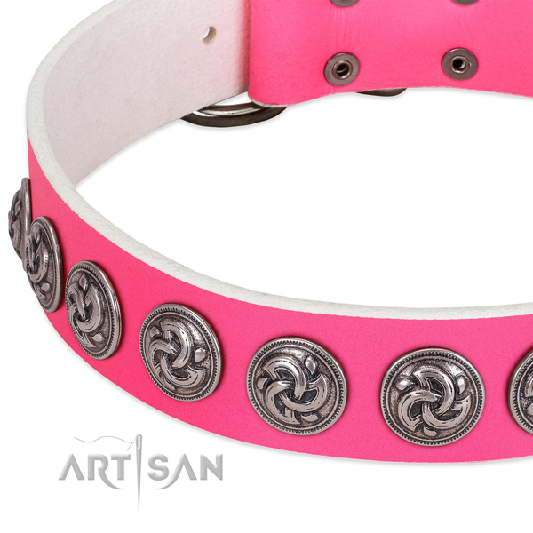 Incredible full grain genuine leather collar for your dog stylish walks