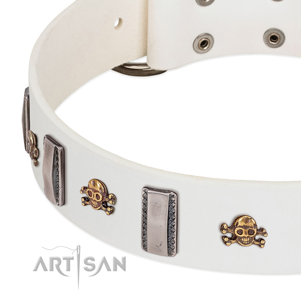 Significant embellishments on genuine leather dog collar for everyday use