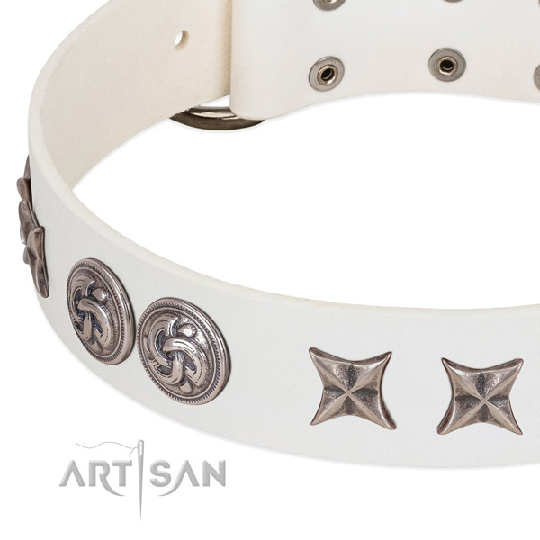 Full grain genuine leather collar with incredible decorations for your four-legged friend
