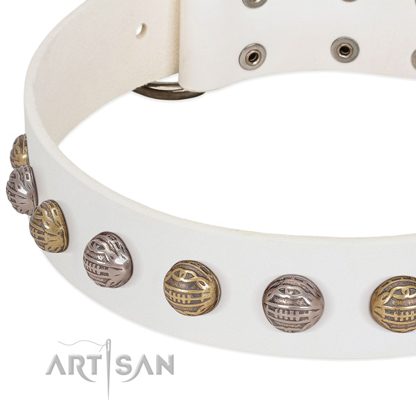 Strong buckle on genuine leather collar for stylish walking your four-legged friend