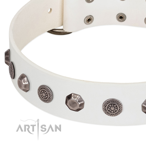 Top notch genuine leather collar for your dog walking in style