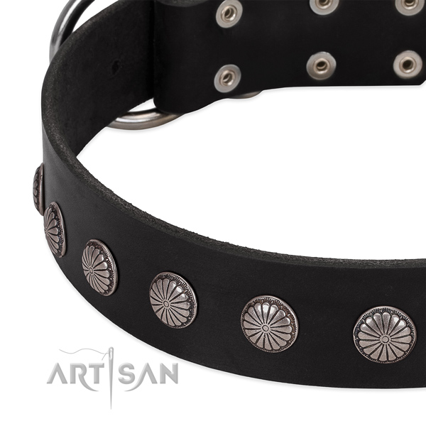 Soft full grain natural leather dog collar with embellishments for comfy wearing