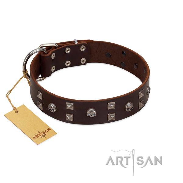 Stylish walking dog collar of genuine leather with designer decorations