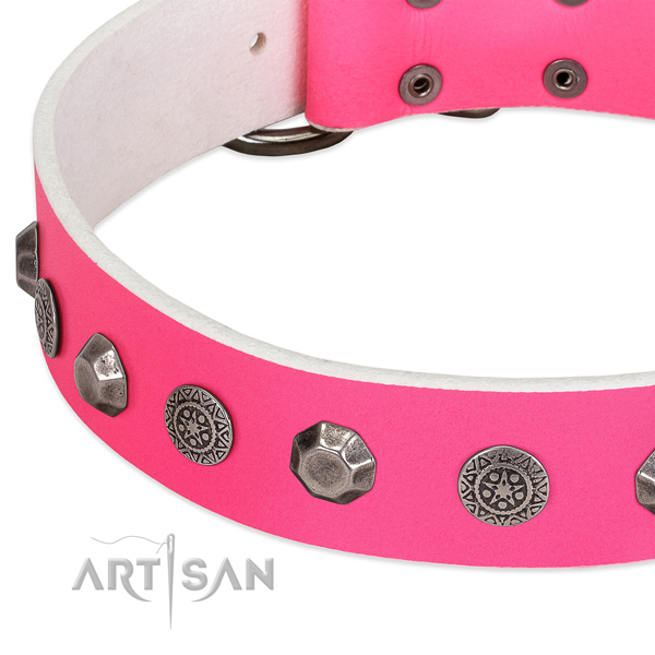 Extraordinary full grain leather collar for your four-legged friend stylish walking