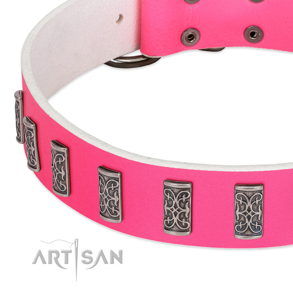 Remarkable genuine leather collar for your four-legged friend daily walking