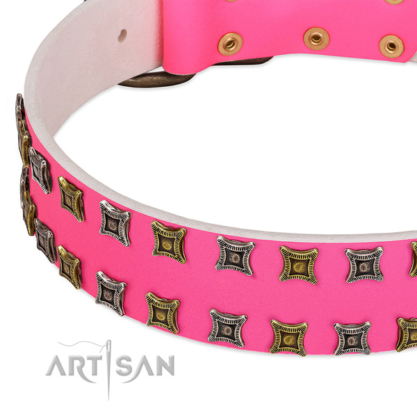 Natural leather dog collar with stunning decorations