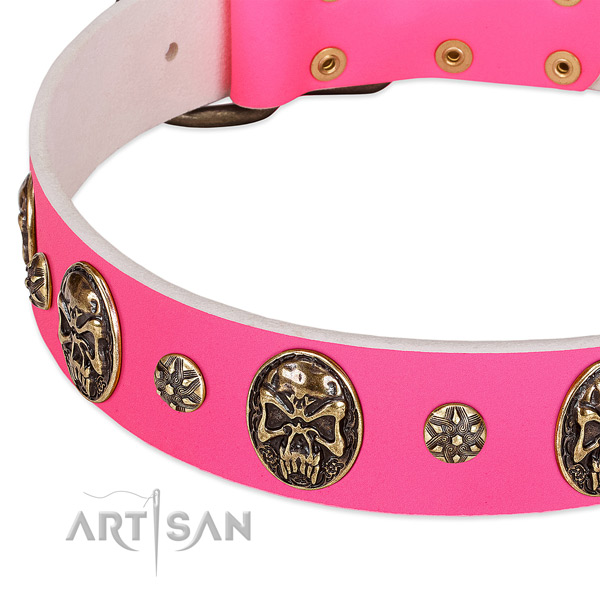 Incredible dog collar handcrafted for your impressive four-legged friend