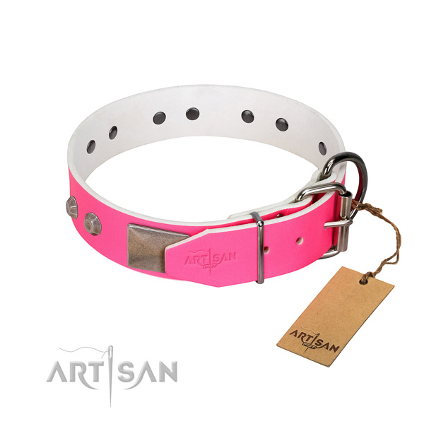 Basic training dog collar of leather with designer embellishments
