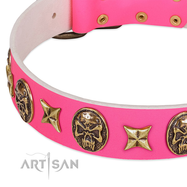 Genuine leather dog collar with stylish design adornments