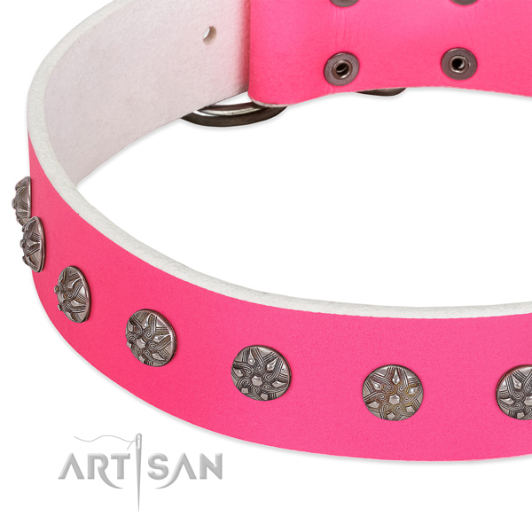 High quality full grain leather dog collar with decorations for your dog