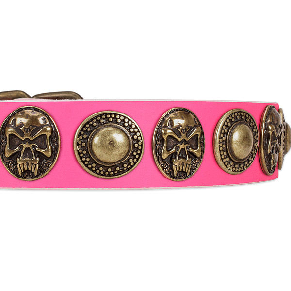 Reliable fittings on leather dog collar for your four-legged friend