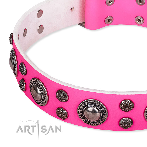 Fancy walking decorated dog collar of durable leather