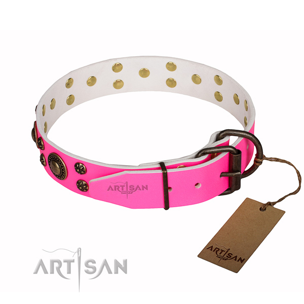 Basic training studded dog collar of top quality genuine leather