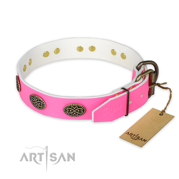 Rust-proof studs on daily walking dog collar
