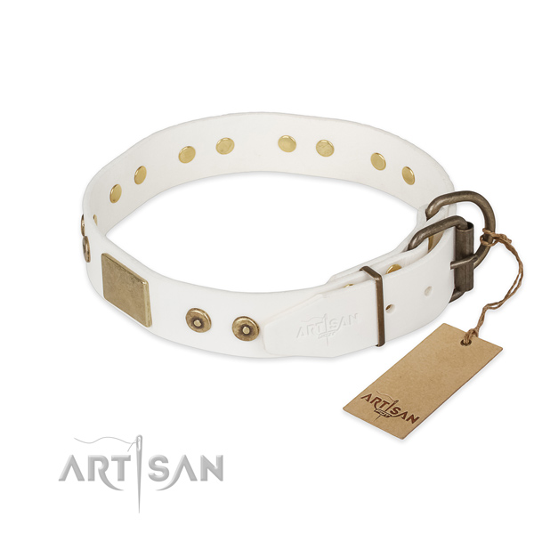 Corrosion proof fittings on full grain leather collar for basic training your dog