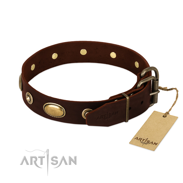 Corrosion proof hardware on leather dog collar for your four-legged friend