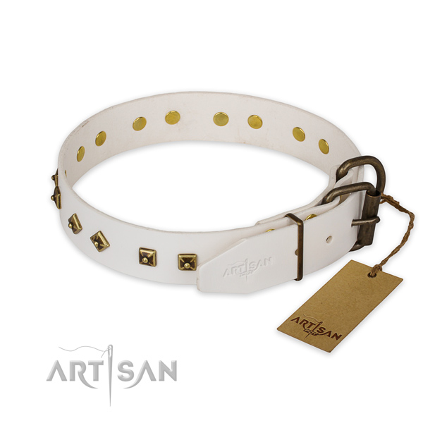 Corrosion proof D-ring on leather collar for basic training your canine
