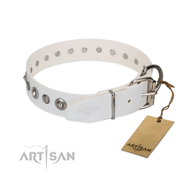 Top notch leather dog collar with remarkable decorations