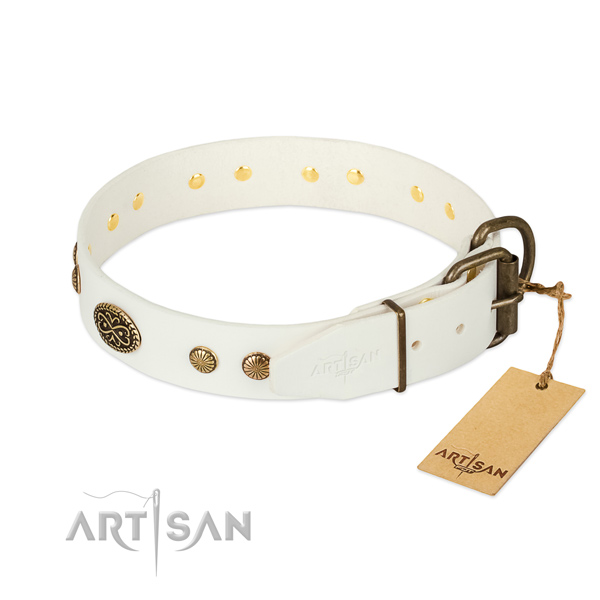 Strong studs on natural leather dog collar for your pet