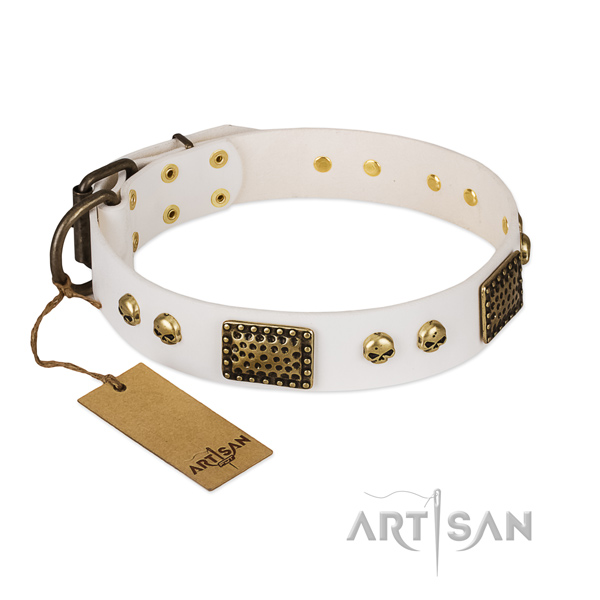 Reliable adornments on daily use dog collar