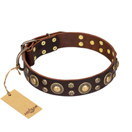 "Flower Melody" FDT Artisan Brown Leather English Pointer Collar with Mixed Studs