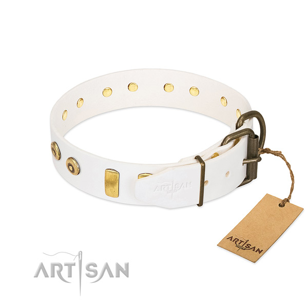 Handy use full grain natural leather collar with embellishments for your four-legged friend