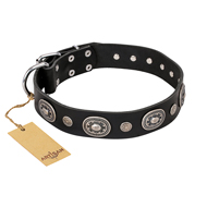 "Black Tie" FDT Artisan Leather English Pointer Collar with Old Silver-like Decorations