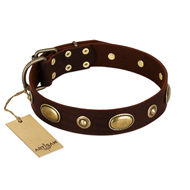 "Hebe's Jewel" FDT Artisan Brown Genuine Leather English Pointer Collar