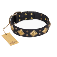 "Fancy-Schmancy" FDT Artisan Studded Leather English Pointer Collar