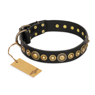 "Gold Mine" FDT Artisan Black Leather English Pointer Collar with Amazing Bronze-Plated Round Studs
