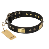 "Black Sun" FDT Artisan Leather English Pointer Collar with Brass Plated Decorations