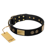 "Chicci-Glam" FDT Artisan Black Leather English Pointer Collar with Plates and Ornate Studs