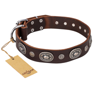 "Extra Pizzazz" FDT Artisan Adorned Brown Leather English Pointer Collar
