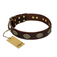 "Chocolate kiss" FDT Artisan Leather English Pointer Collar with Old Bronze Look Oval Plates