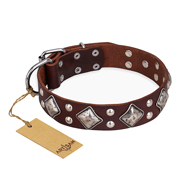 "King of Grace" FDT Artisan Stylish Leather English Pointer Collar with Old Silver-Like Plated Decorations