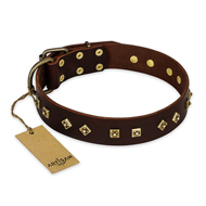 "Fashion Studs" FDT Artisan Decorated Leather English Pointer Collar with Old Bronze-Plated Steel Hardware