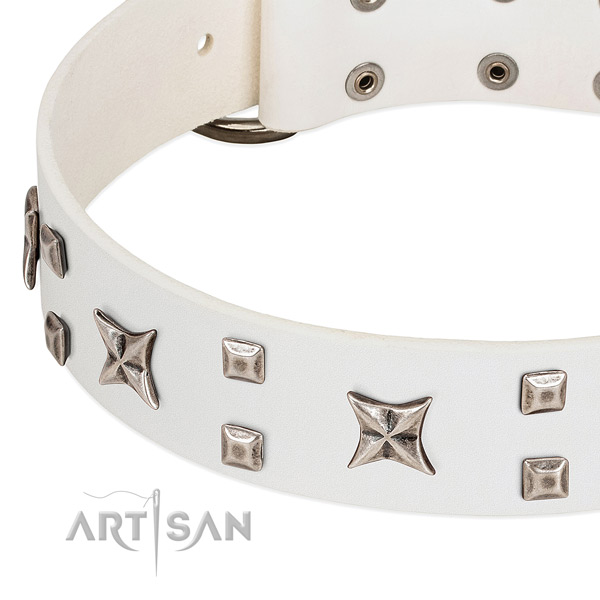 Flexible natural leather dog collar with decorations for stylish walking
