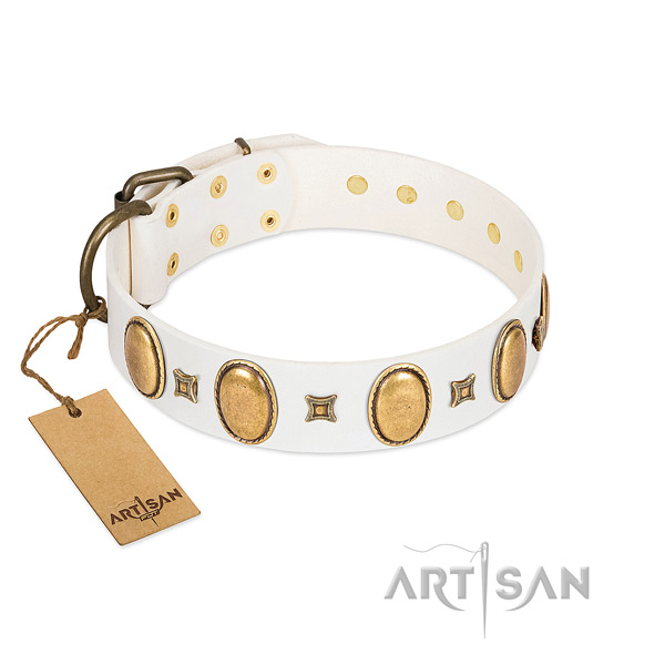 Genuine leather dog collar with stylish design embellishments for handy use