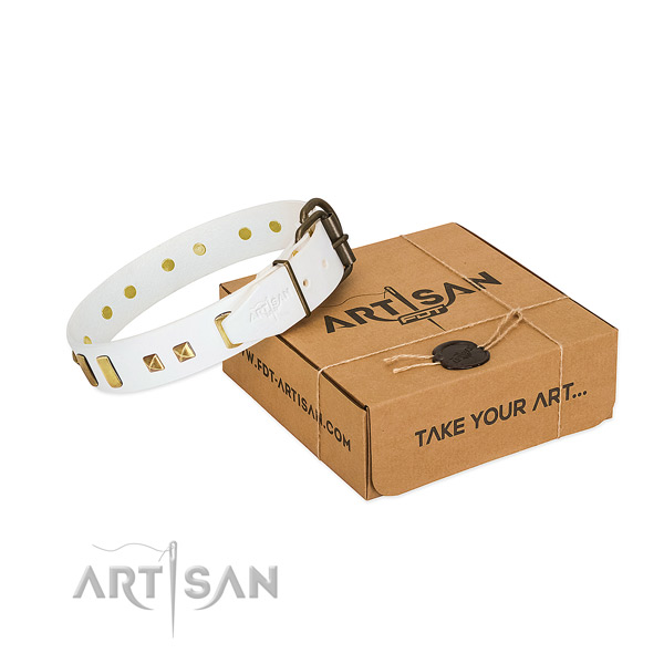 Leather dog collar absolutely safe for everyday walking