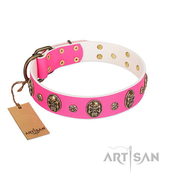 Remarkable full grain leather dog collar for daily walking