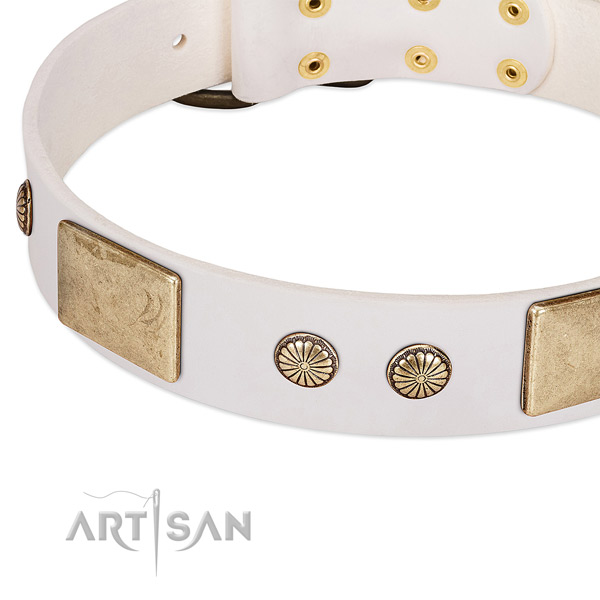 Rust resistant studs on genuine leather dog collar for your four-legged friend
