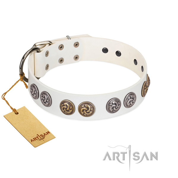 Easy wearing collar of natural leather for your beautiful doggie