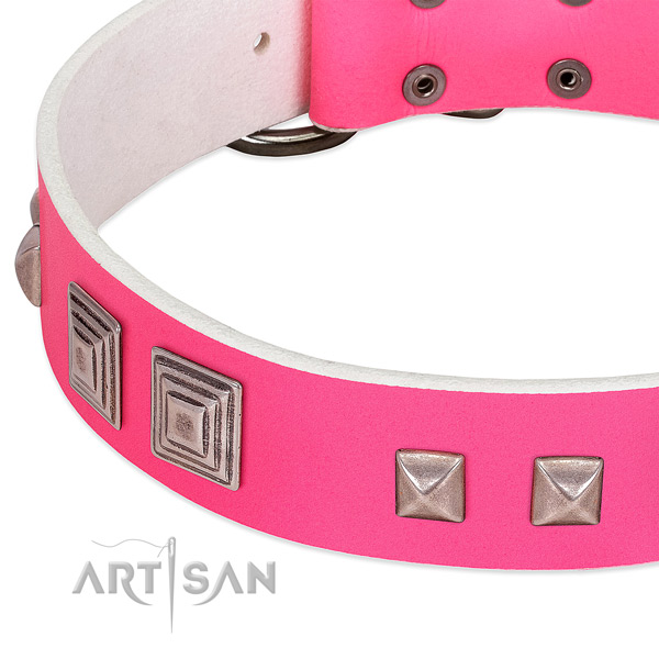 Genuine leather dog collar with rust-proof traditional buckle and studs