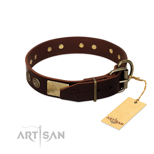 Corrosion resistant adornments on genuine leather dog collar for your four-legged friend