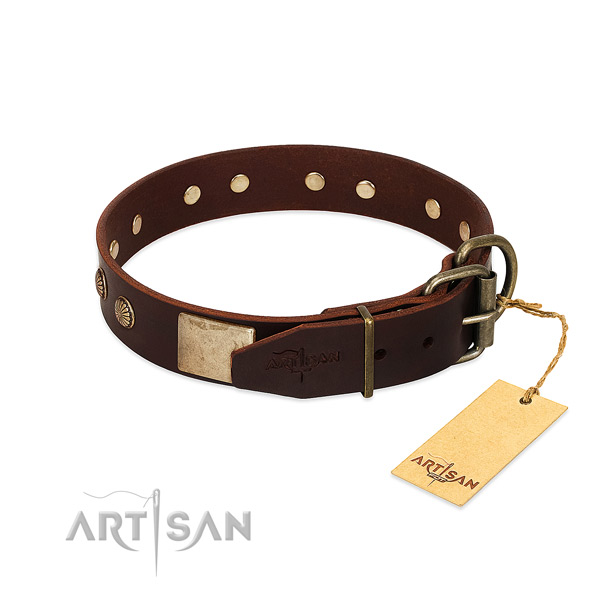 Durable hardware on daily walking dog collar