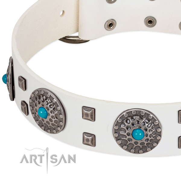 Flexible full grain natural leather dog collar with designer studs